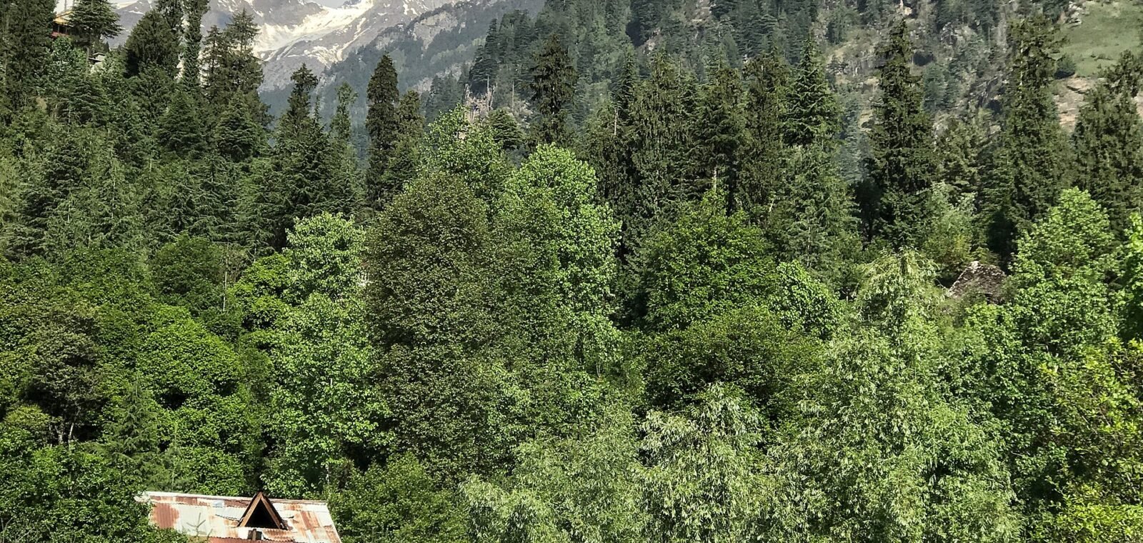 Manali