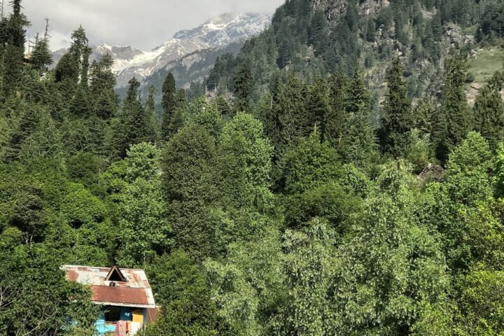 Manali
